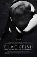 Blackfish is a documentary that blew up across America
