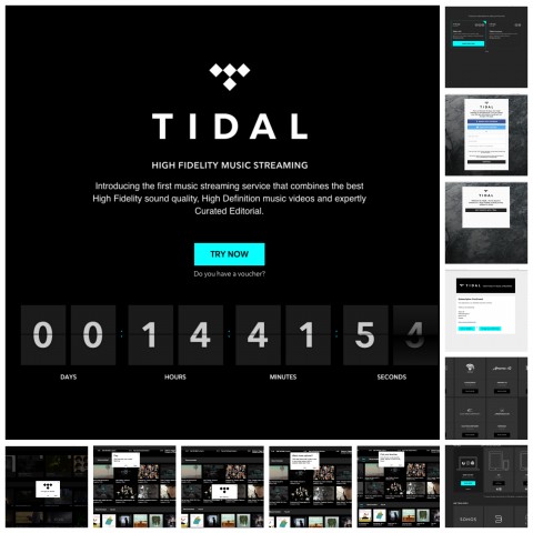 Tidal